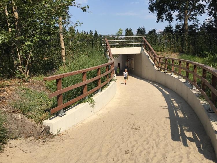 Foto fiets- en ponytunnel (foto: Roelofs)